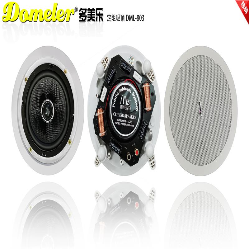 DOMELER 多美乐 吸顶音箱 DML-901