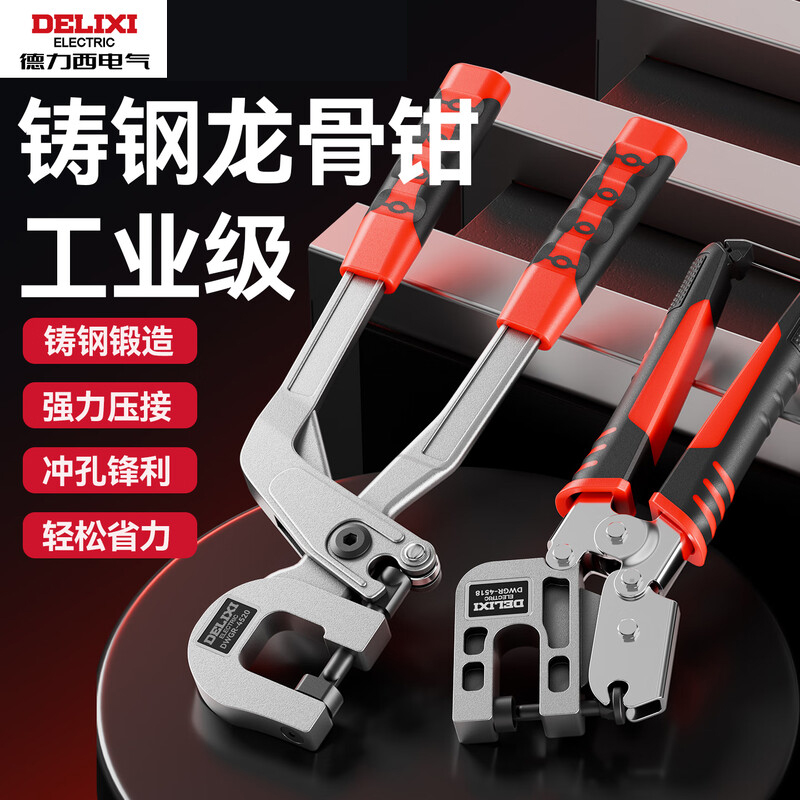 德力西 碳钢（长柄） 钳子