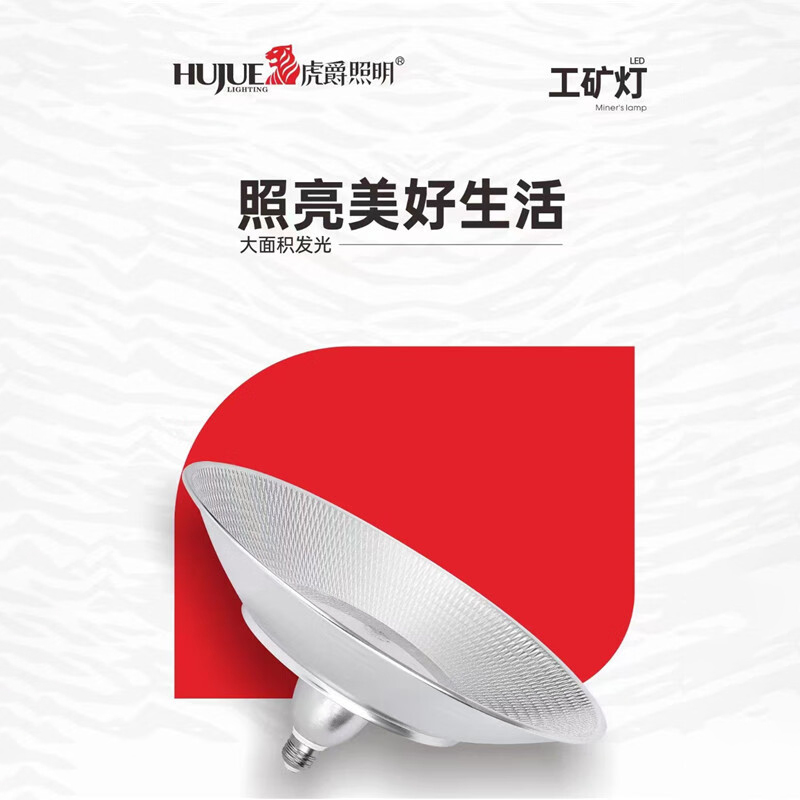 虎爵 100W；色温：6500K；鱼鳞 吊环式；电压：220V 工矿灯