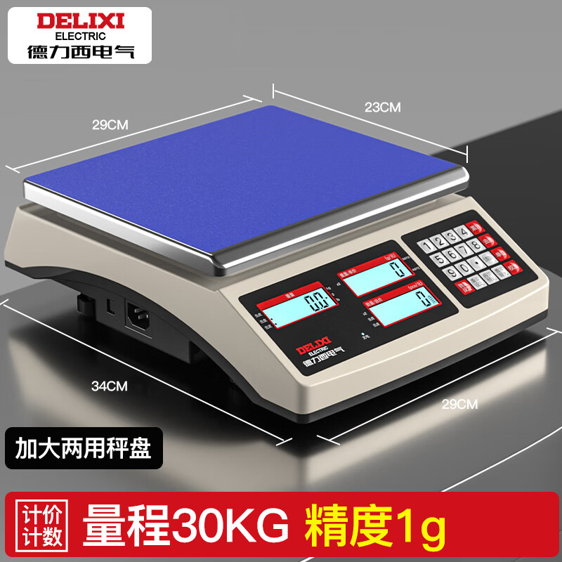 德力西 最大称量：30kg；分度值：1g 天平