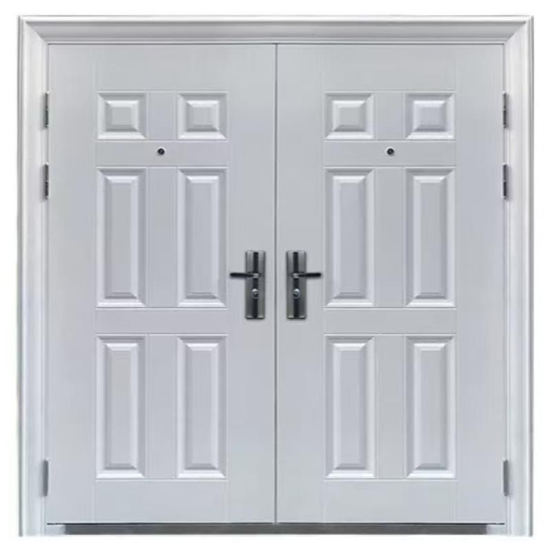 富盛 钢质双开门