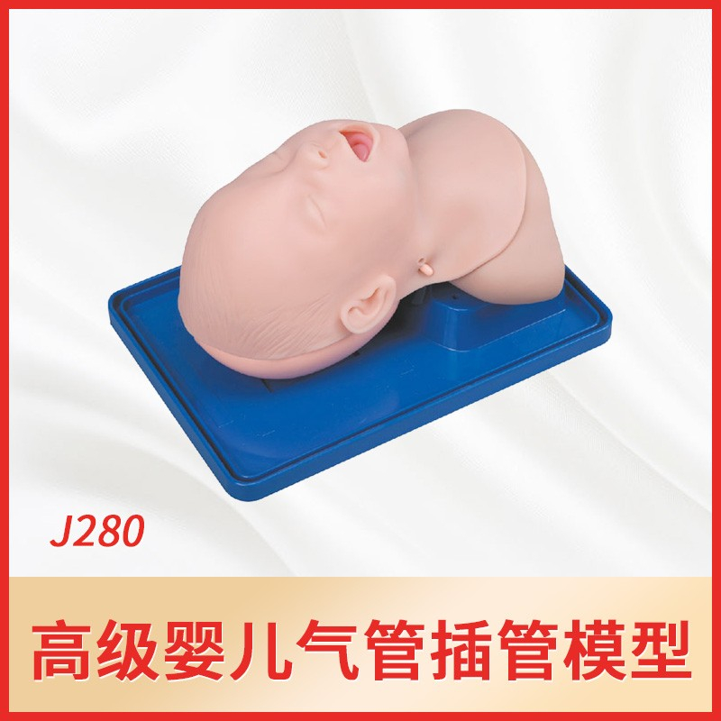 益模 KMU/J280 婴儿气管插管模型（单位：件）